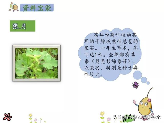 部编语文二年级（下）《我是一只小虫子》知识点、练习