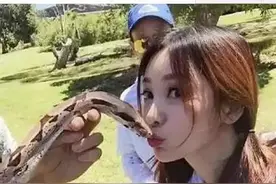 训蛇师被眼镜蛇咬舌而死：真能驯服眼镜蛇？泰国蛇王教训太深刻图片