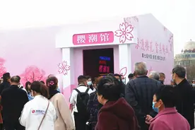 一河诗画满城花 第七届中国（鹤壁）樱花文化节炫彩开幕图片
