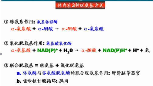 高中生物化学复习提纲，必考榜。’