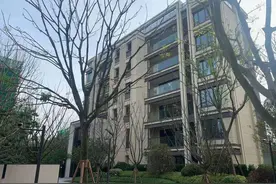 高层与洋房哪个升值快？图片