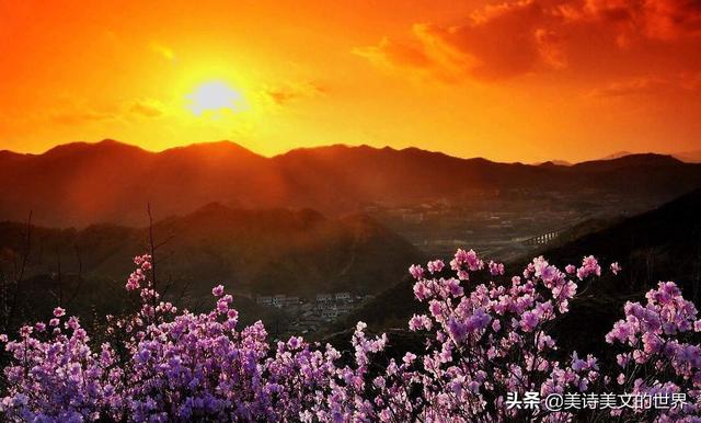 王维洗尽铅华之作，仅几句共有4个“终”字，一般人写不出这种美