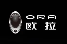 这也吹？欧拉汽车发生多起自燃事件，厂商召回不应该是其本分吗？图片