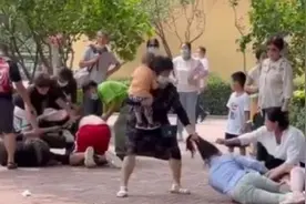动物园猩猩学人类打架？事实并非如此，动物才是人类的“老师”图片