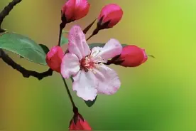 60岁阿姨倾述：8年来拒绝跟老伴儿同床，现在他开始报复，扯平了图片