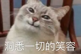表情包：洞悉一切的笑容图片