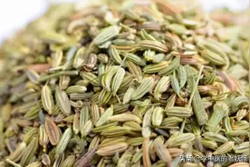 每日一中药——小茴香图片