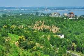 这里被称为“最美丘陵森林公园”！年内将建成开放图片