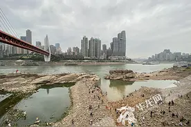 重庆东水门大桥下“神龟”现身长江！龙门浩月背后的故事你知多少？图片