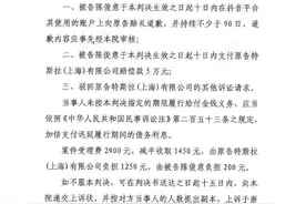 温州车主称特斯拉刹车失灵，被判道歉并赔5万！实为踩在加速踏板图片