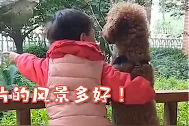 “一个敢听，一个敢讲”，萌娃与狗狗攀谈：这是我为你打下的江山图片