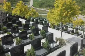 上周扫墓，吓了一跳……图片