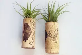 手把手教你如何将旧物改造成生活艺术品，好棒！图片