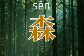 森林防火｜标语要牢记，防患于未然图片