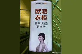 宣传引用旧国标、悄悄删除“净醛”相关文章，欧派的抗甲醛路还能走多远？图片