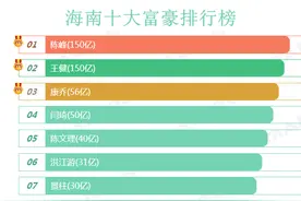 海南十大富豪排行榜图片