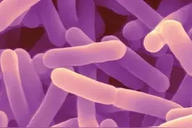 A2奶源的优点？让伊利金领冠菁护告诉你图片