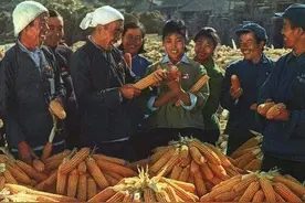 伟大的第一步——中国农村改革起点实录。（三）图片