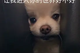 今日份表情包合集，评论区里分享你们最近的表情包吧！图片