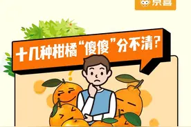 十几种柑橘傻傻分不清？一张图让你看得清楚吃得明白图片
