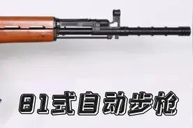 国产步枪七十年发展史(第四弹)图片