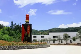 国家级高级酿酒师论｜健康红曲酒发展新理念图片