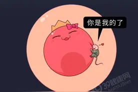 精子和卵子的结合过程：闯过这4道关卡，精子才能修成人图片
