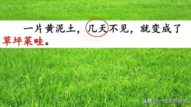 统版六年级上册第15课《夏天里的成长》重点知识点+课件