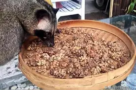 是时候盘一波咖啡“粪”豆史，看着就很有味儿图片