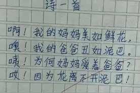 小学生"打油诗"走红，幽默搞笑却有天赋，老师：可塑性很强图片