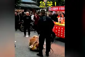 大狗金毛撕咬小狗不松口，众人喊打男子却不动手，女子反应亮了图片