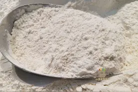 三伏天，面粉容易长虫子，老厨师教您3招，放一年也不生虫不发霉图片