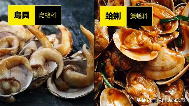 蛤、蚶、蛏、蚝、蚬有什么区别？这是一群美味海怪与人类的故事