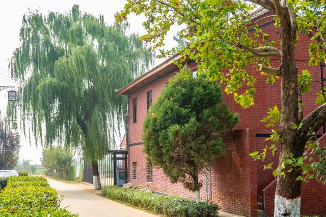 探秘千年王上村：陕西杨凌区有座隋朝大墓，千百年未曾被盗