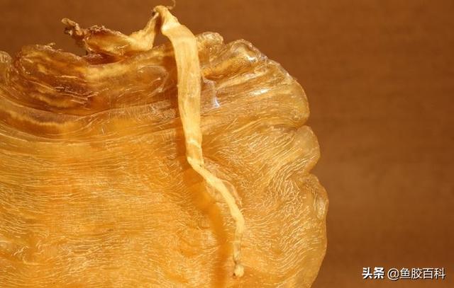 月子里能不能吃花胶 月子里能不能吃花胶炖牛奶