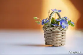 43岁女人：和男闺蜜喝多了，丑事败落发现男女之间没有纯友谊图片