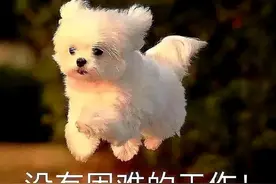 把菜种到太空里去！图片
