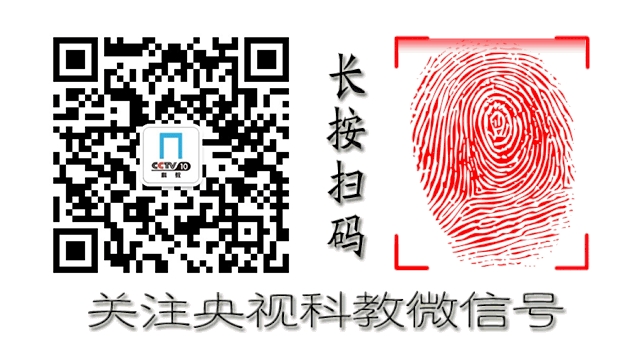 形容人鸡皮疙瘩一身的成语