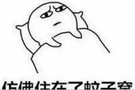 到底住几楼，才能没蚊子？图片