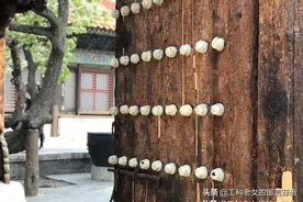 故宫半解之偶遇故宫维修，得以见到紫禁城“底色”图片