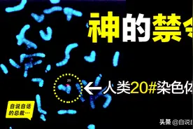 神的禁令，写在人类20号染色体上，神究竟禁止人类做什么？图片