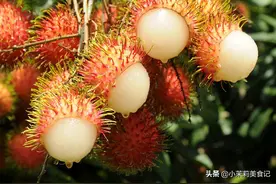 红毛丹又叫毛荔枝，到底是荔枝吗？二者有啥区别？果农详细告诉你图片
