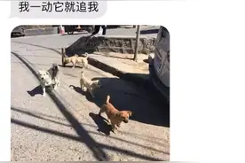 女生深夜点外卖被小哥戏弄？聊天记录曝光，这操作真的6哈哈哈哈图片
