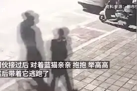 深夜盗走宠物店蓝猫，他还“亲亲抱抱举高高”？！图片