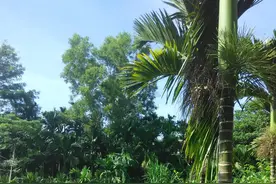 致我的中年（七）图片