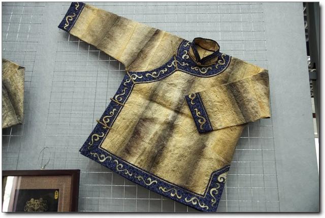 如何泡发干鱼皮 2026年怎么泡发干鱼皮