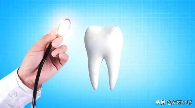 口腔角化龈的概念