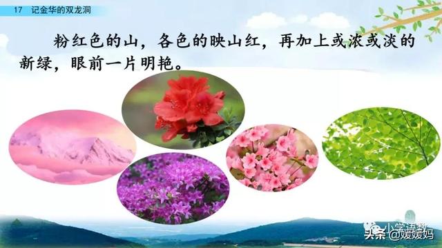 四年级下册语文第17课《记金华的双龙洞》图文详解及同步练习
