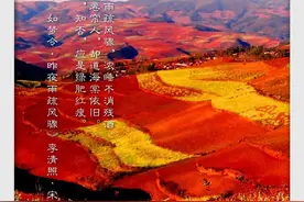 好美丨冬天的云南，陶醉在“色彩的盛宴”中图片