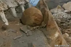 挖机掏出远古化石？“石髓带来，远古的呼唤”...图片